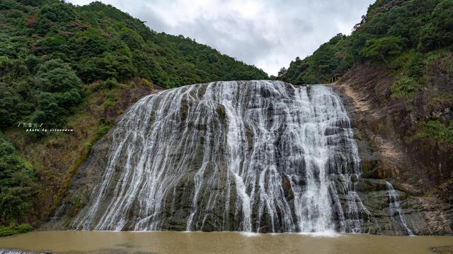 泡沫森林